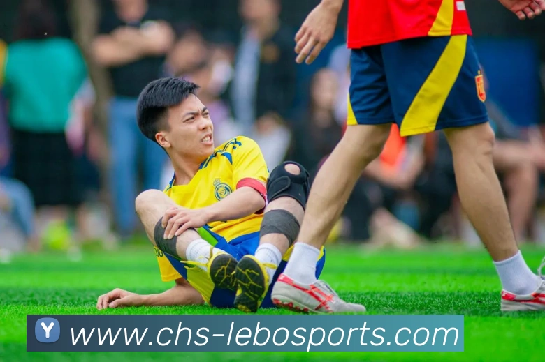 体育下注平台生态图